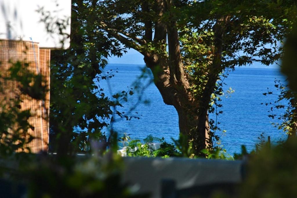 Archondissa Beach Aparthotel Therma  Exterior foto